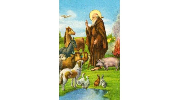 Santo Antão e os animais